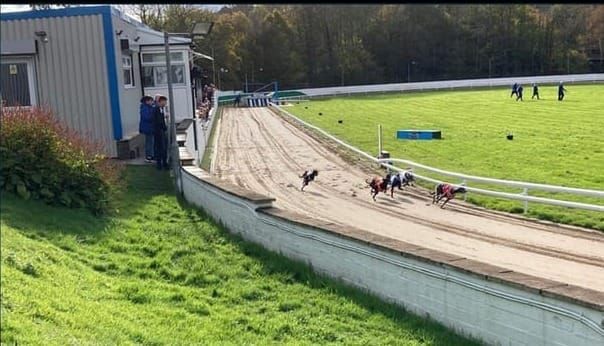 Publishing draft Welsh ban bill 'hard to fathom' says GBGB CEO