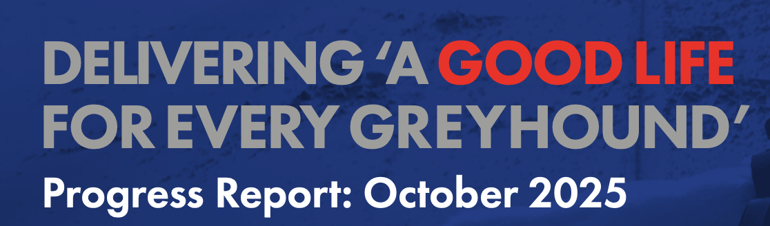 GBGB's ‘A Good Life for Every Greyhound’ progress report