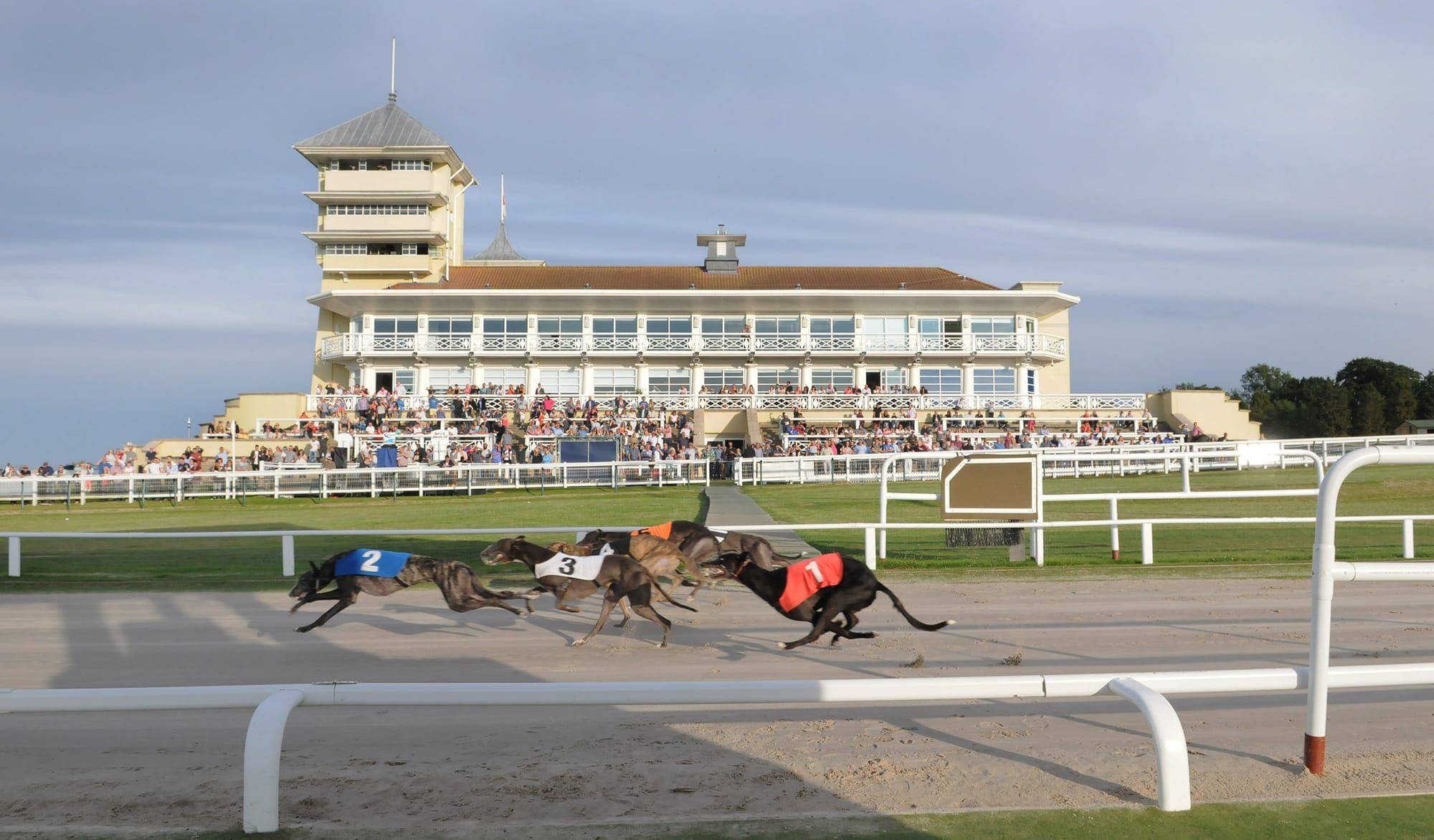 Towcester given nod for 2026 English Derby by GBGB panel