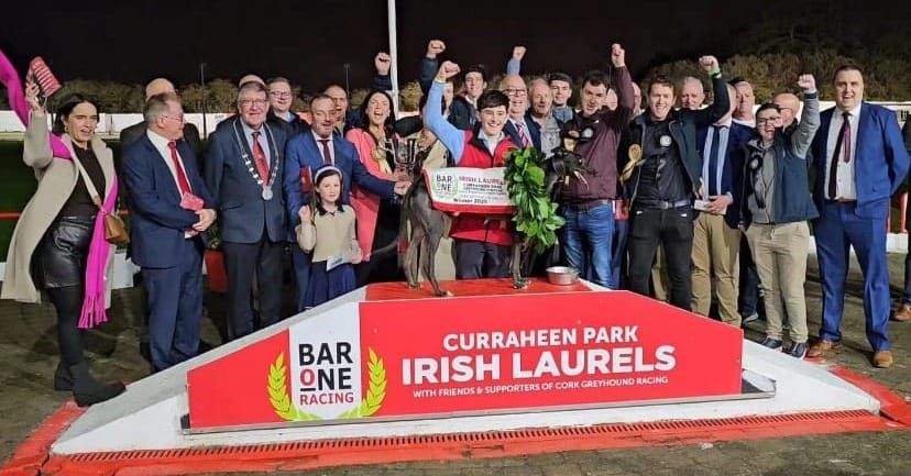 Ian Fortune's Weekly Irish Focus - Wednesday 12th Nov edition