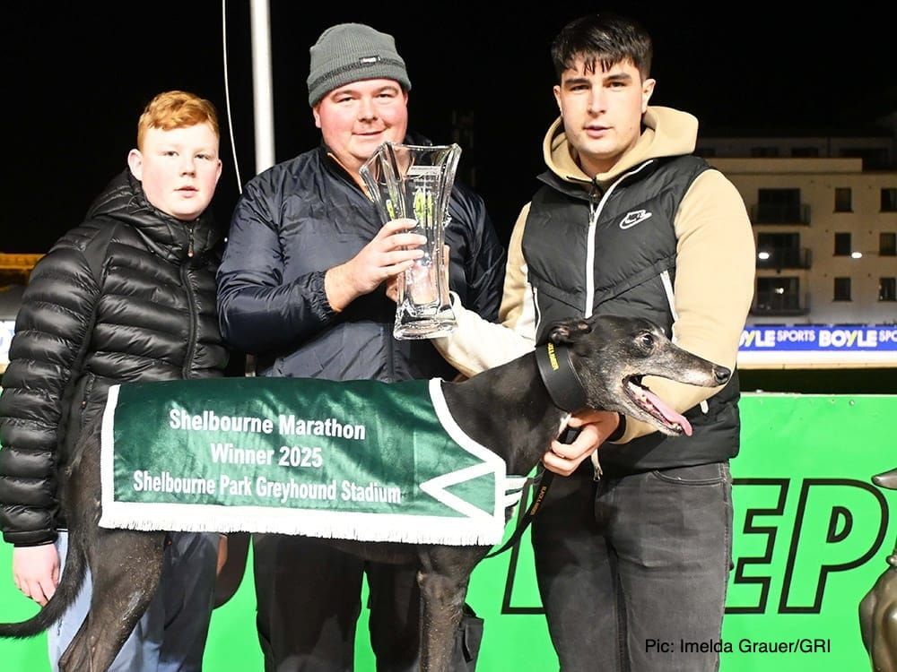 Ian Fortune's Weekly Irish Focus - Wednesday 17th Dec edition