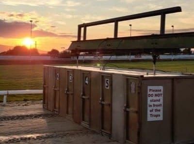 Kane scores in record fashion at Enniscorthy, Towcester in sights