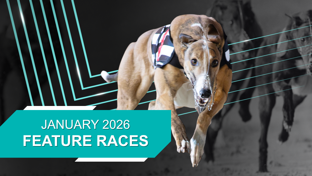 Cody rolls back the years to star at Tralee in a quiet start to 2026