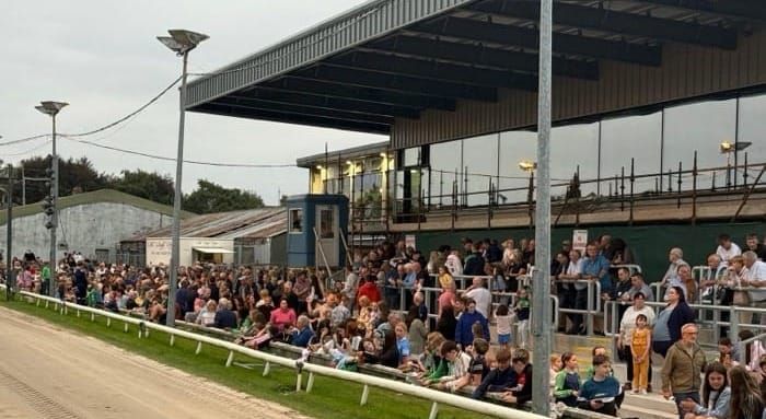 Preview - Sunday’s Kilkenny SIS card inc Champion Unraced final