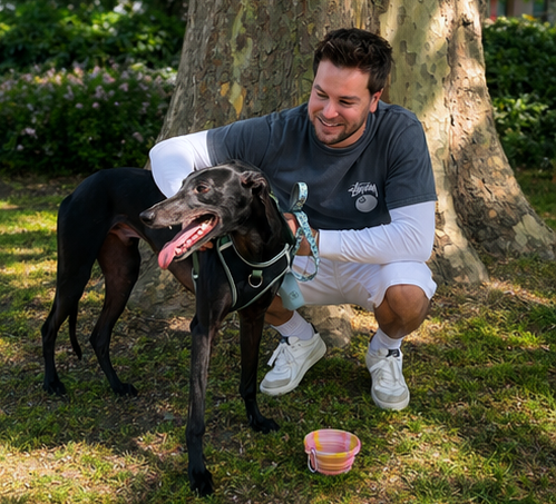 Chris Hughes is the voice of latest retired greyhound campaign