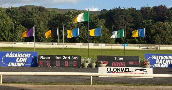 Preview - Clonmel 2nd round Produce Stakes heats Friday