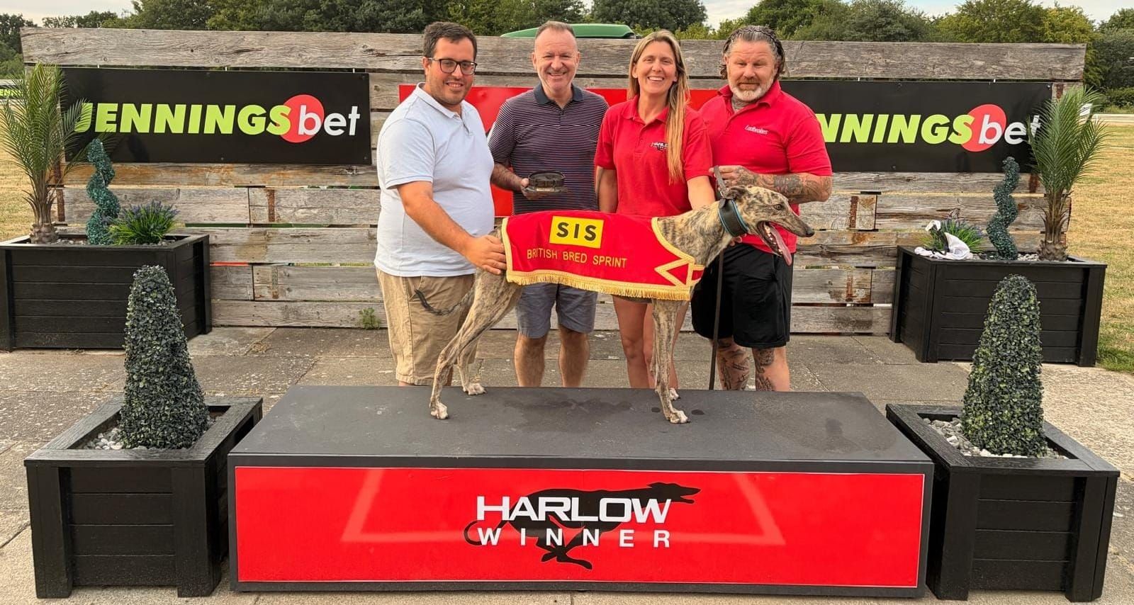 Hearns packs a real punch as he lands SIS British Bred Sprint final