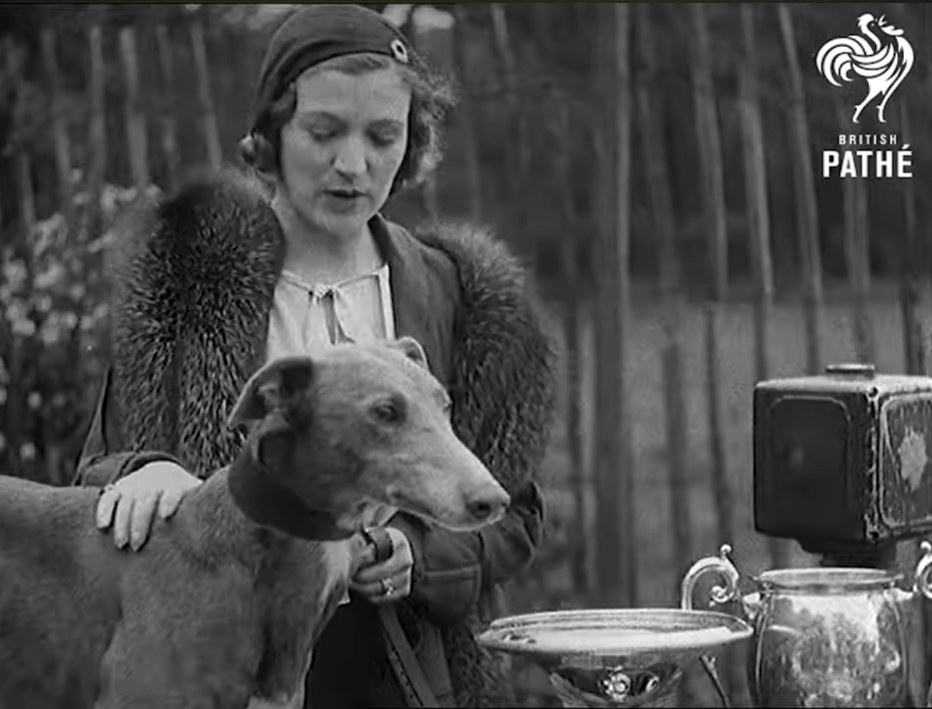 Bird hails Centenary Gala Dinner as celebratory film is released