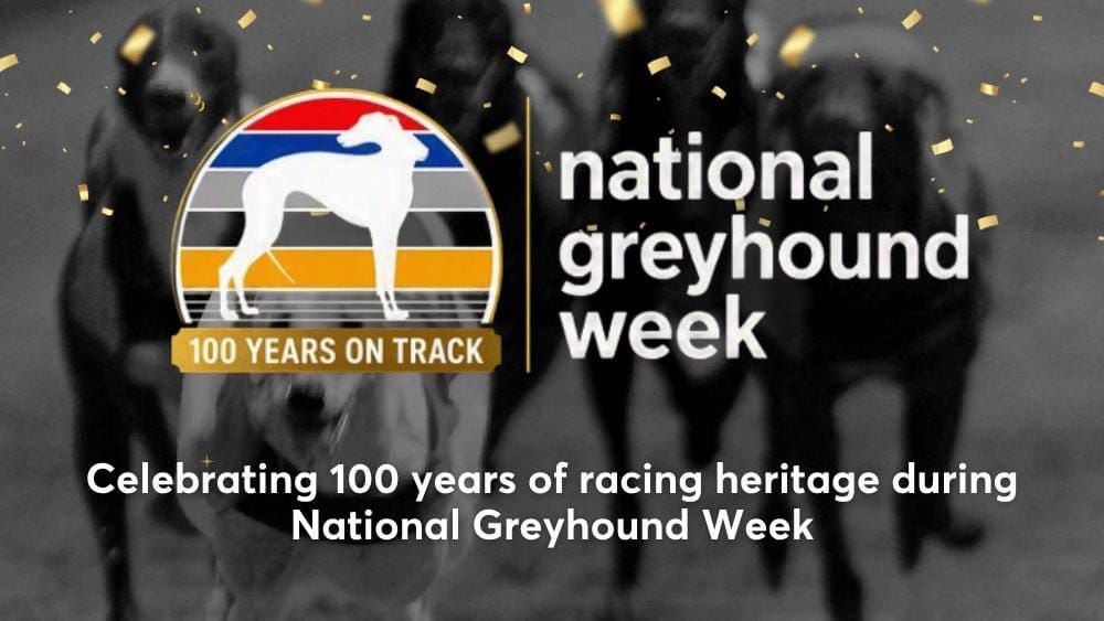 4th National Greyhound Week under way in centenary year