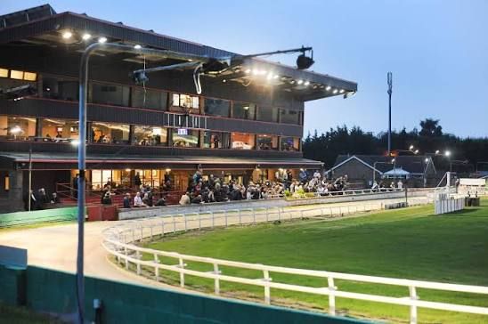 Greyhound Trader Donny sales could lead to Puppy contenders