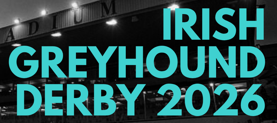 All the stats that matter from the second round of the Irish Derby
