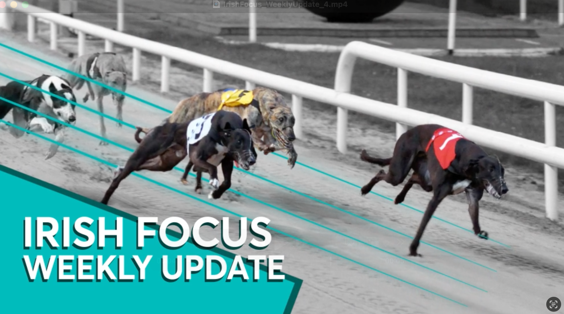 Ian Fortune's Weekly Irish Focus - Wednesday 5th August edition