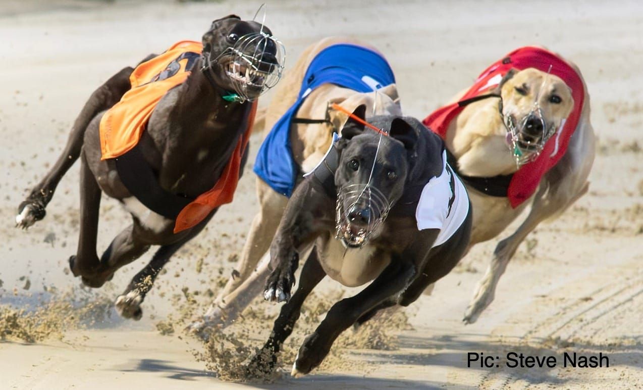 Lennies Eddie out of Irish Derby, misses chance of famous double