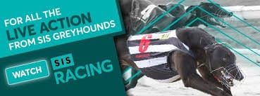 Irish Derby opening round heats attract record sisracing.tv views