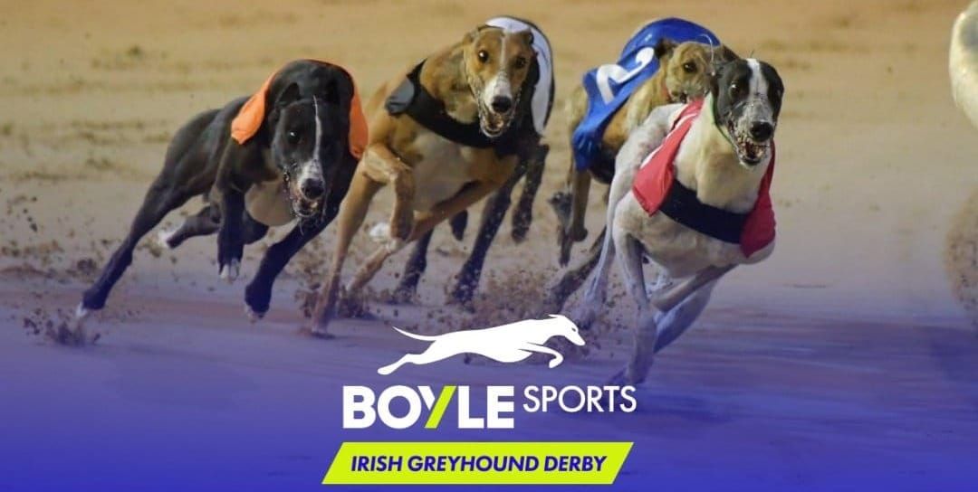 Monarch remains unbeaten as Irish Derby final field complete