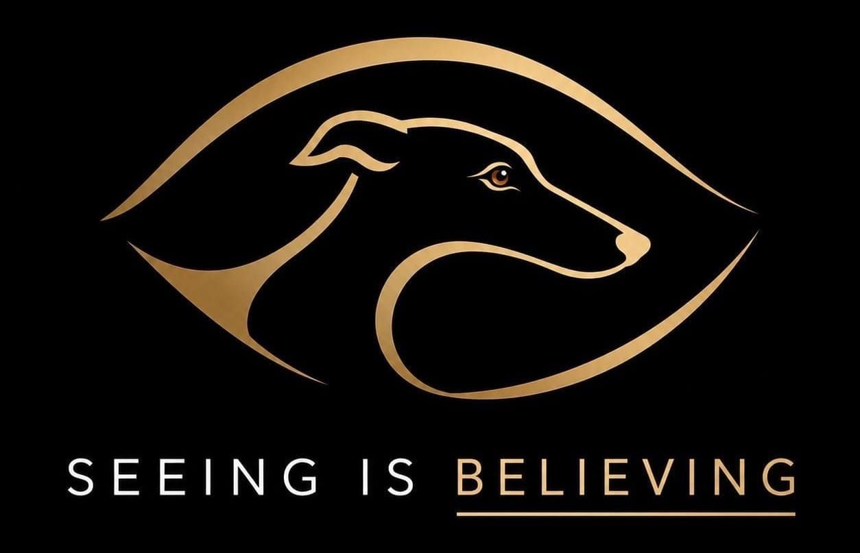 GBGB's 'Seeing Is Believing' aims to challenge opponents' opinions