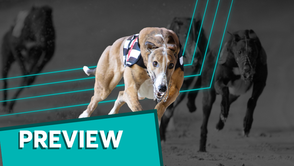 Bockos Kirby run can continue, Joshua looks best bet at Donny