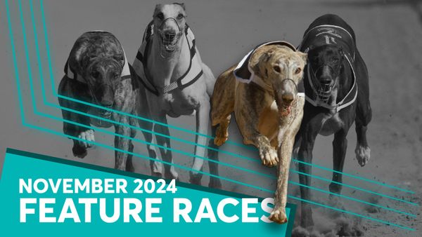 Diamond and Kathleen set new records on way to superstardom