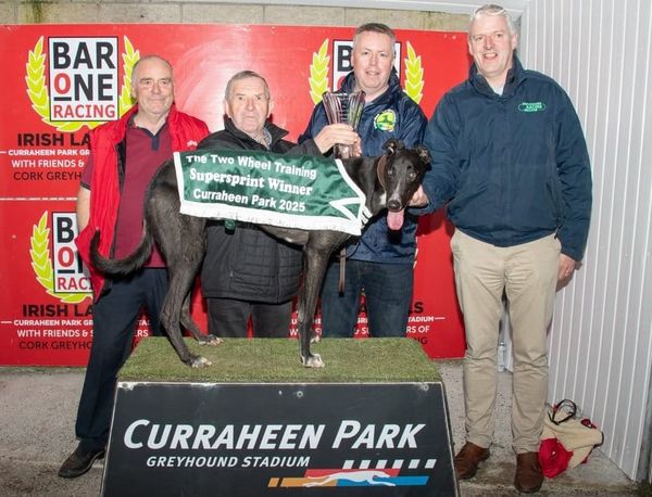 Ian Fortune's Weekly Irish Focus - Wednesday 16th April edition