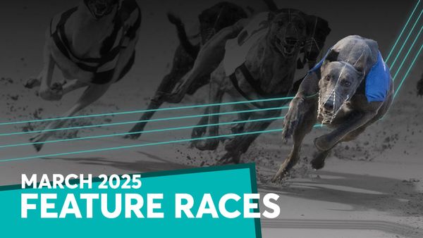 Patriot stars in Juvenile Classic, Towcester goes wild for Mongys