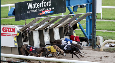 February-April 2026: Waterford