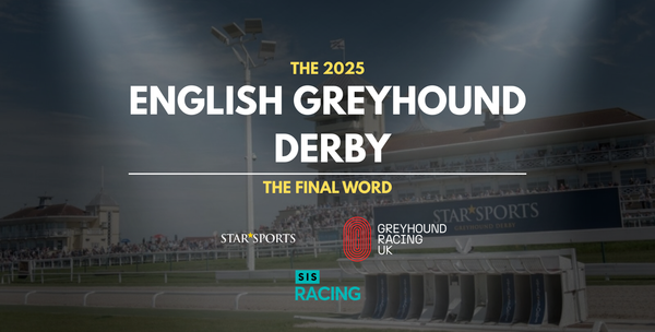Best Derby of modern era gives greyhound racing a real chance