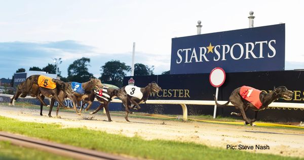 Janssens is just about down to earth after the night of all nights