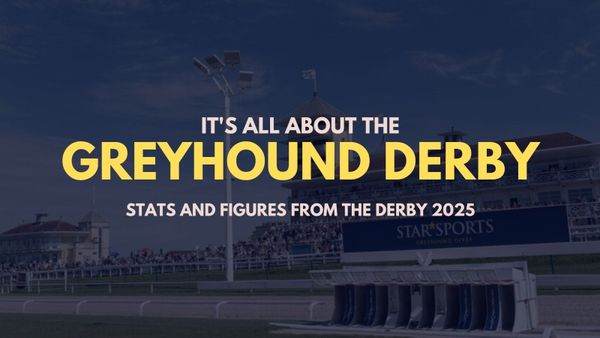 Plunge the stat that matters but Irish top multiple Derby metrics