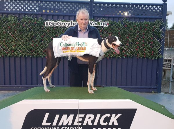 Ian Fortune's Weekly Irish Focus - Wednesday 6th August edition