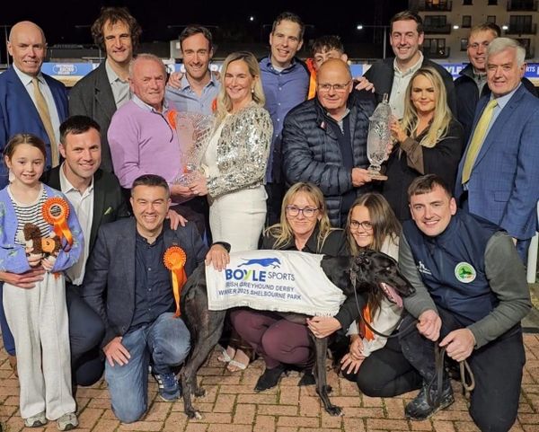 Sandwiches takes Holland into the Irish Derby history books