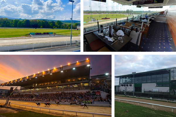 Ian Fortune's Weekly Irish Focus -Wednesday 8th October edition