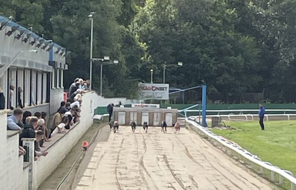 Industry heavyweights heard by politicians over risk of Welsh ban