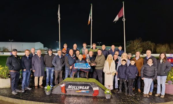 Ian Fortune's Weekly Irish Focus - Wednesday 19th Nov edition