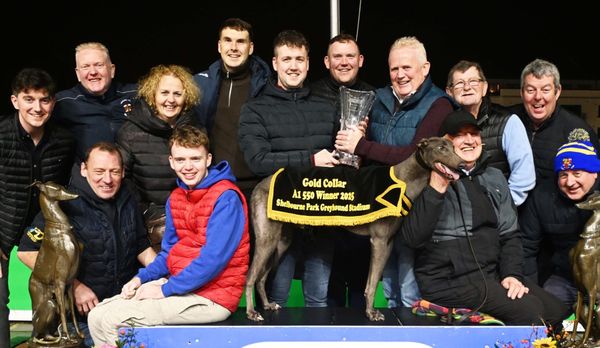 Ian Fortune's Weekly Irish Focus - Tuesday 23rd Dec edition