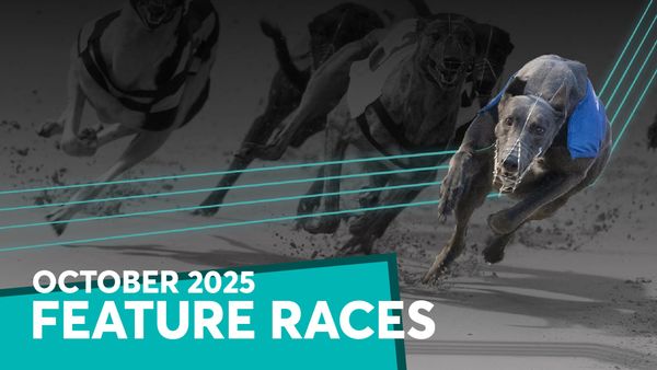 Sargie and Lily Pelaw star acts as big-race action returns there