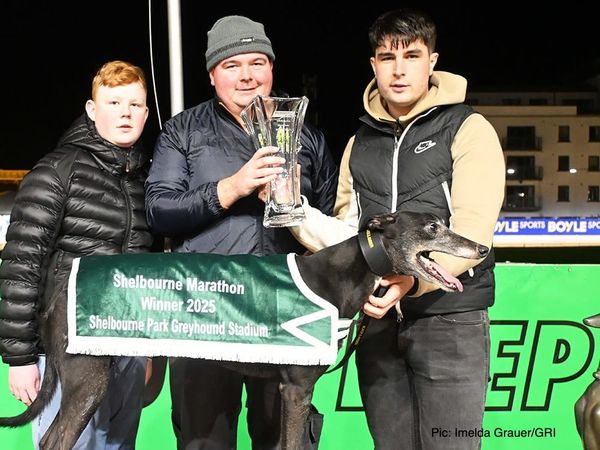 Ian Fortune's Weekly Irish Focus - Wednesday 17th Dec edition