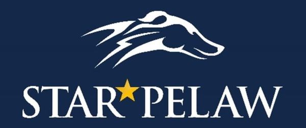 Barkley sparkles as Star Pelaw unveils new hurdles course