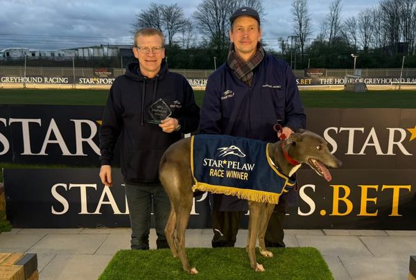 Mickys Tribute has to battle but ultimately breaks own hurdle TR