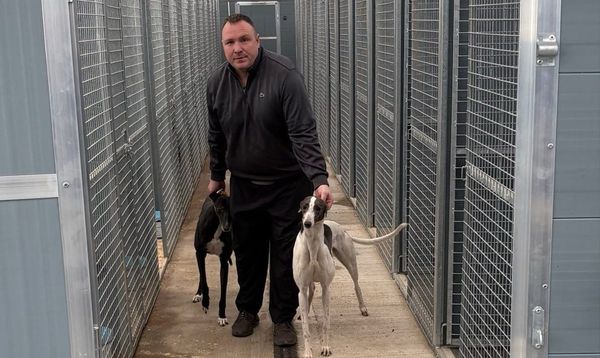 Raven storms in at Star Pelaw to open trainer Miller's win account