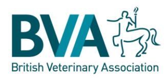 GBGB welcomes BVA veterinary position on animal use in sport