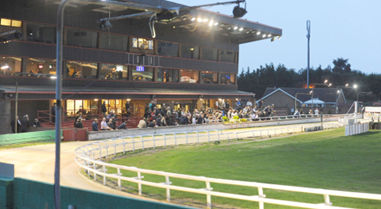 Bumper 16-race all-open card at Doncaster on Saturday evening
