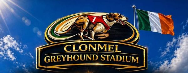 Diamond sparkles as Clonmel's National Produce Stake starts
