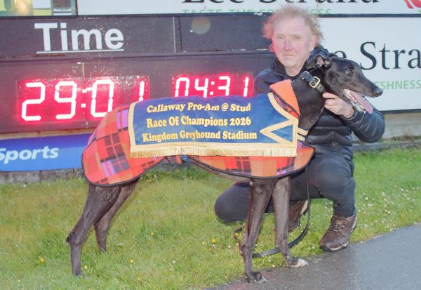 Ballycowen frankly demolishes Champions rivals in record run