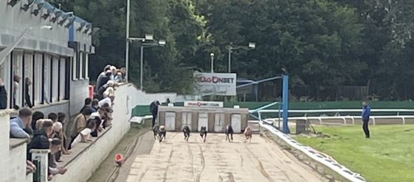 Valley resurrecting Welsh Derby with backing from Star Sports