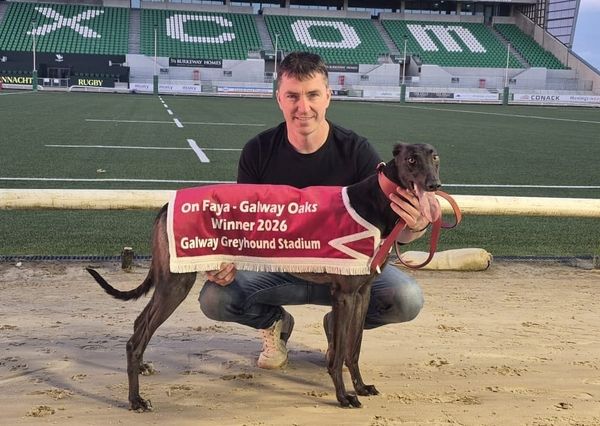 Nifty just Magical as she leads home Guilfoyle Galway Oaks 1-2