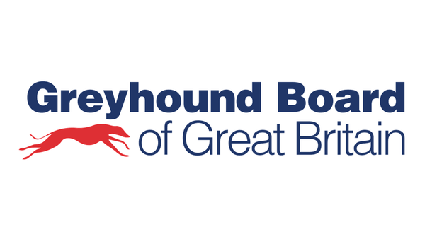 GBGB Stories will offer insight into headlines behind the sport