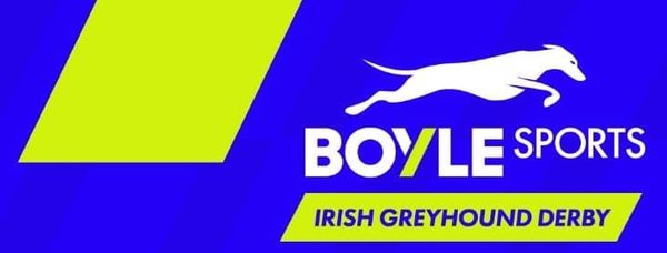 Preview: Irish Greyhound Derby starts Shelbourne Park Friday