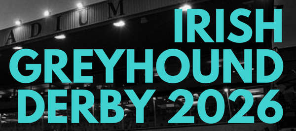All the stats that matter from the second round of the Irish Derby