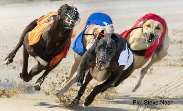 Lennies Eddie out of Irish Derby, misses chance of famous double