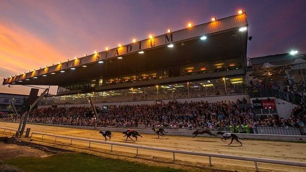 Preview: Saturday Shelbourne - hts 13-24 in R1 of the Irish Derby